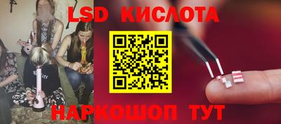 гидропоника Ставрополь