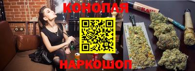 гидропоника Ставрополь