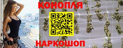 гидропоника Ставрополь