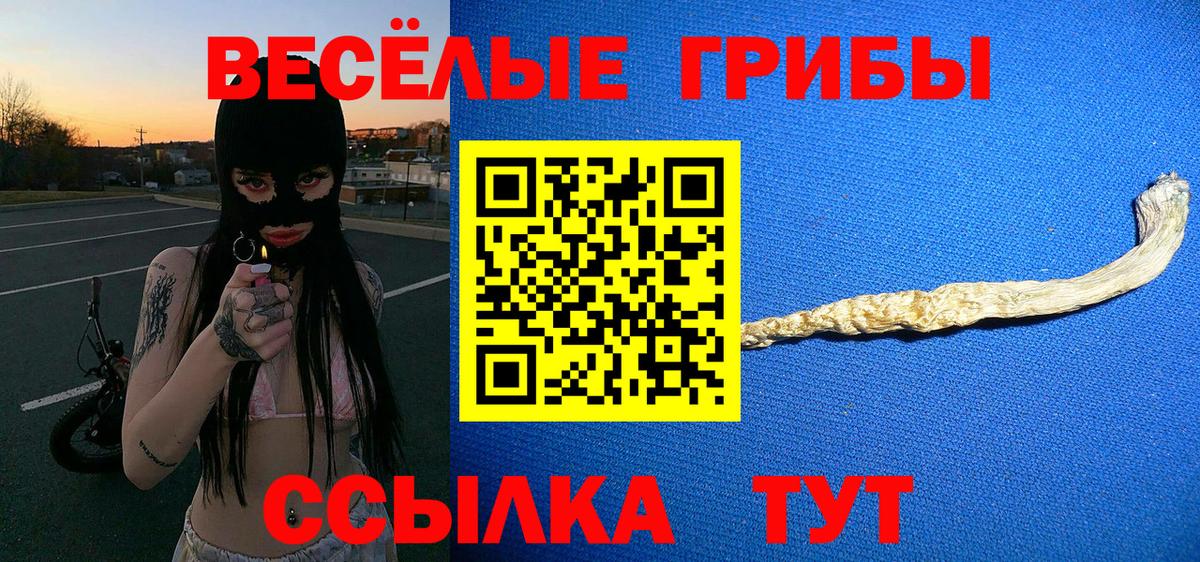Галлюциногенные грибы Cubensis Острогожск